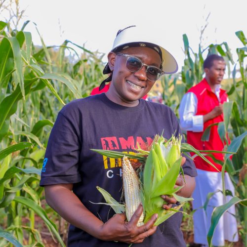 Agriculture