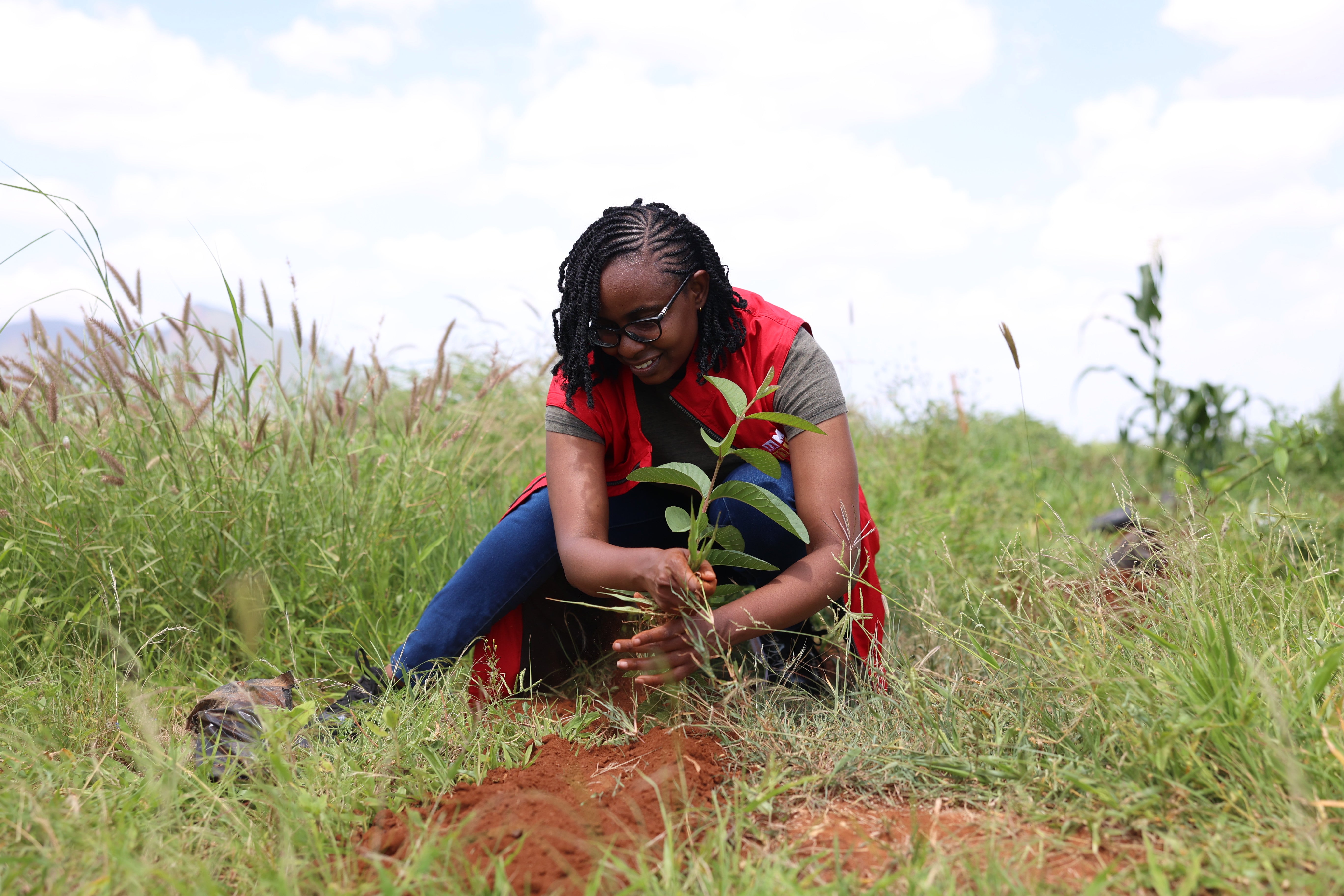 Sustainability Program