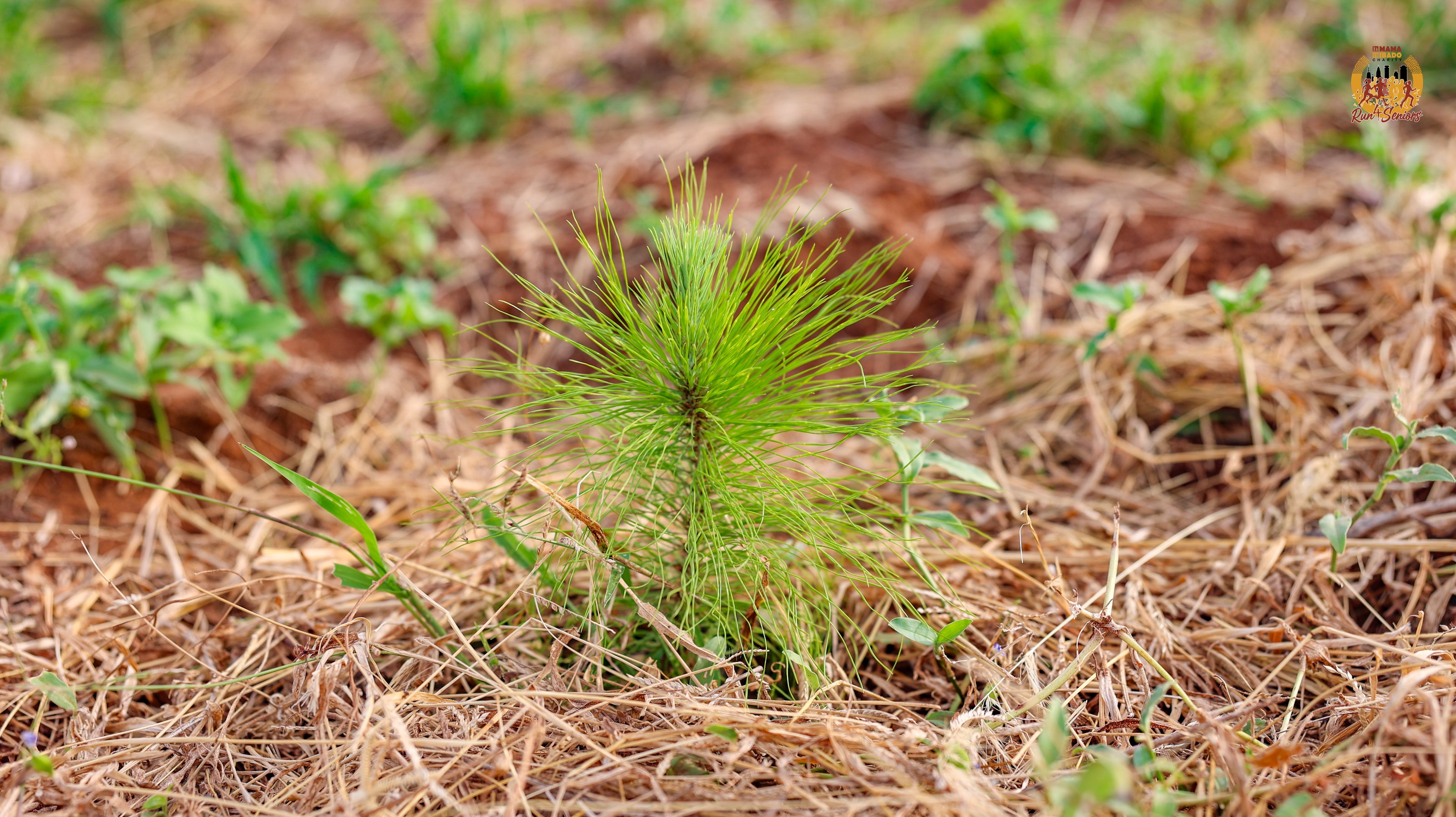 Sustainability Program