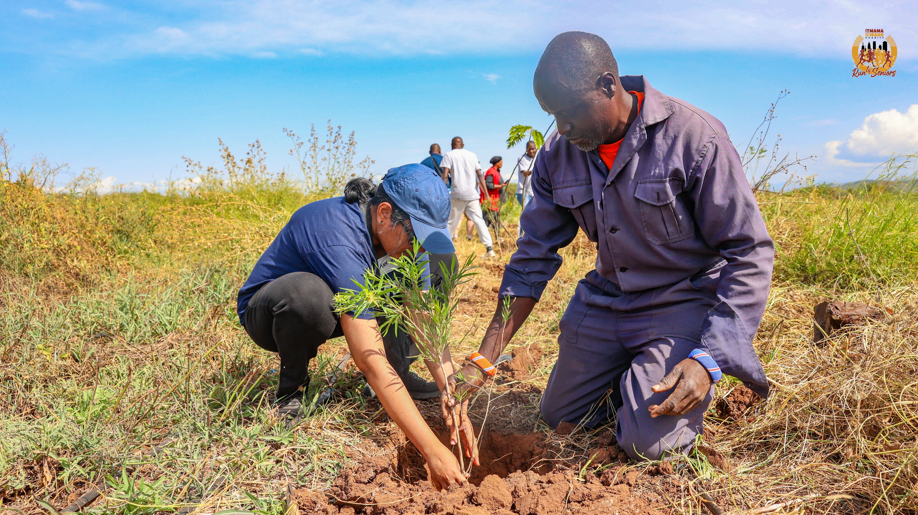 Sustainability Program