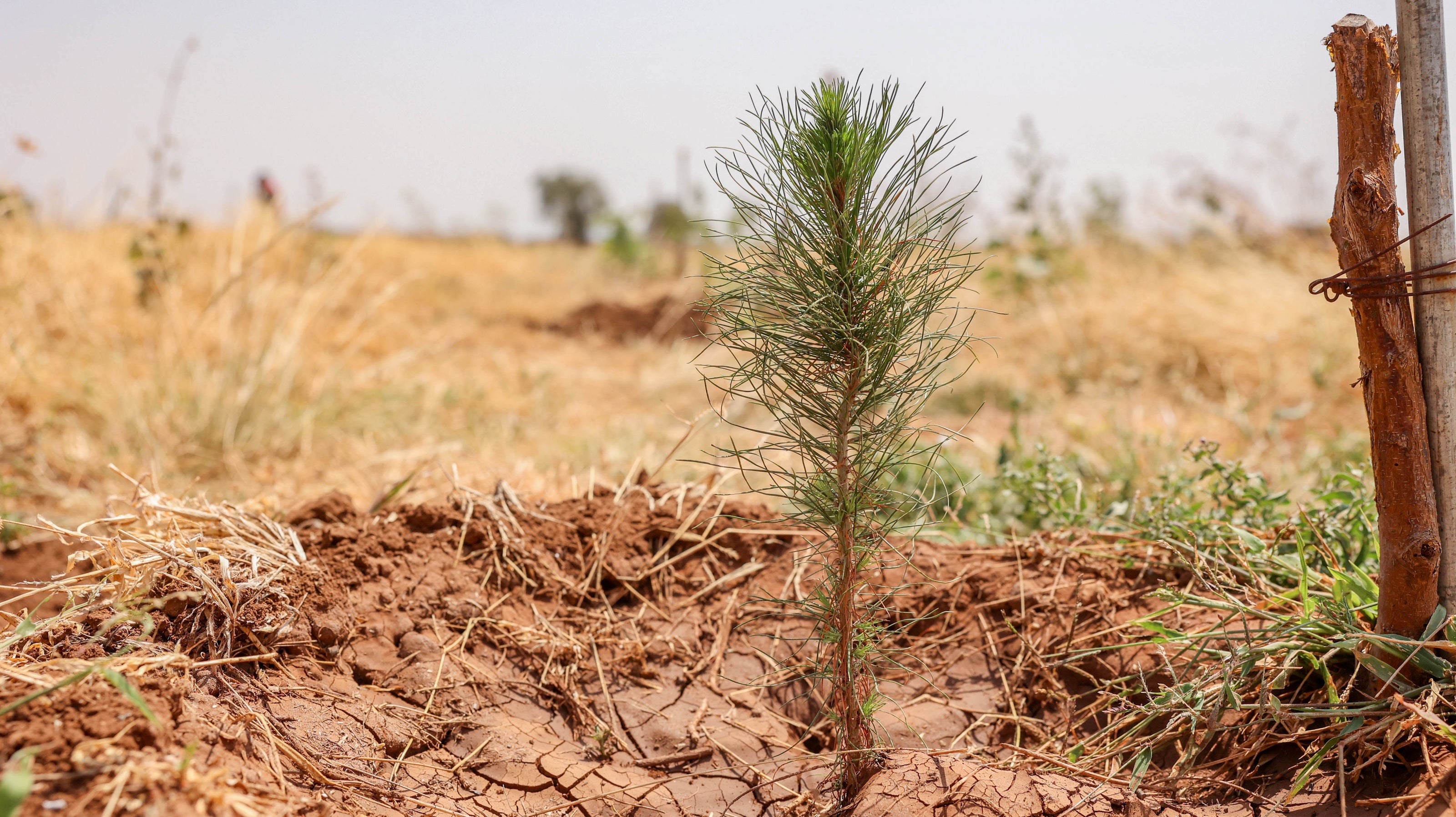 Sustainability Program