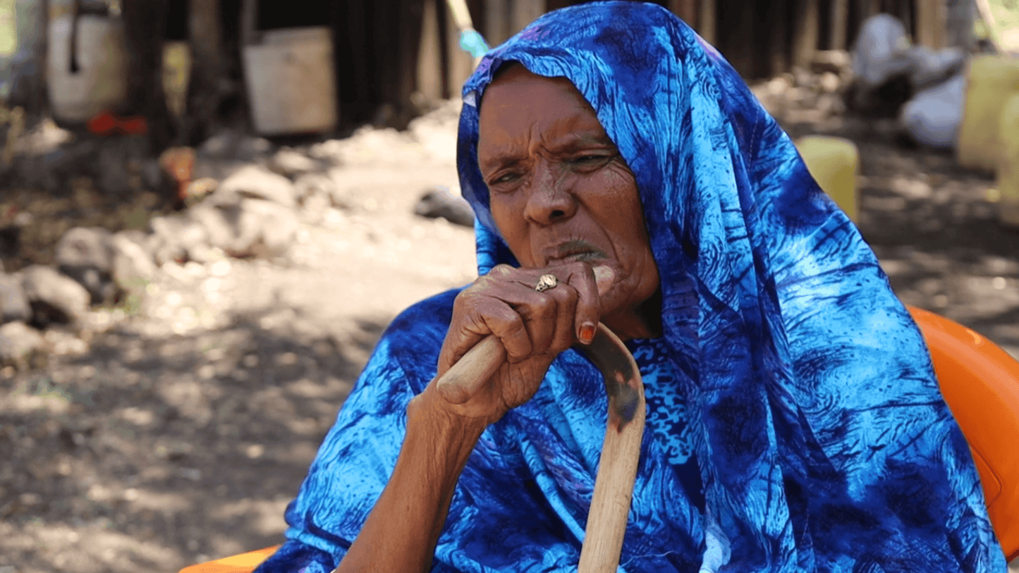 HABIBA ABDI DAHIR